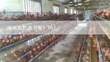 南京有野鸡养殖厂吗？？目前农村进行土元养殖前景如何？