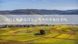 可以去新疆学习天山雪鸡的养殖技术吗,天山雪鸡的生长繁殖