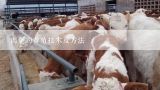 肉兔的养殖技术及方法,怎样养殖肉兔