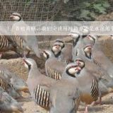 养殖黄鳝，我们应该用网箱养还是水泥池里养好？黄鳝养殖是用网箱好还是水泥池好?