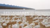 郑州黄河鲤鱼的养殖基地,水产养殖(渔业）未来几年前景如何？