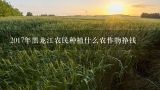 2017年黑龙江农民种植什么农作物挣钱,2017年农民到底种啥赚钱？