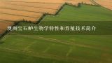 澳洲宝石鲈生物学特性和养殖技术简介,澳洲宝石鲈好养吗