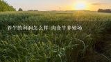 养牛的利润怎么样 肉食牛养殖场,建一个肉牛养殖场要多少钱牛养殖场造价多少