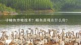 寻鳝鱼养殖技术？鳝鱼苗现在什么价？湖北孝感附近有养殖蚯蚓 鳝鱼的朋友吗？