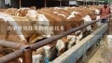 肉驴养殖技术的养殖技术,怎么才能让驴长得更快肉驴快速育肥的方法