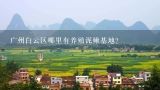 广州白云区哪里有养殖泥鳅基地？