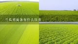 兰瓜煮面条有什么饮养,什么笔可以在兰瓜上写字,然后等瓜成熟以后字就会凸出