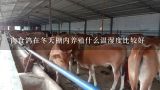 肉食鸽在冬天棚内养殖什么温湿度比较好,室内无阳光可以养肉食鸽吗