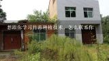 想跟你学习竹荪种植技术，怎么联系你,求竹荪种植技术培训