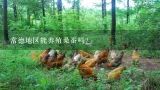 常德地区能养殖桑蚕吗?山羊在湖南省常德市养殖前景如何？