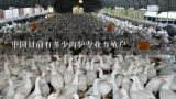 中国目前有多少肉驴专业养殖户,哪里养驴的比较多，中国最大的肉驴养殖场在哪里？