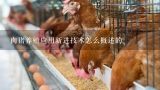 肉猪养殖应用新进技术怎么概述的,发展循环农业有哪些好的模式