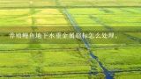 养殖鳗鱼地下水重金属超标怎么处理。,淡水鳗鱼养殖新技术？