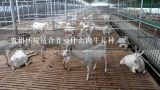 贵州环境适合养殖什么肉牛品种,礼县盐官镇万头肉牛养殖基地选址在哪里