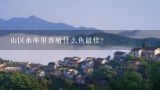 山区水库里养殖什么鱼最佳？水库适合养殖什么水产?