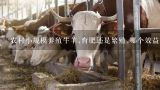 农村小规模养殖牛羊,育肥还是繁殖,哪个效益好?中国养殖网,如何提高农村小规模生猪养殖经济效益