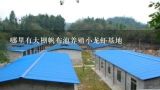 哪里有大棚帆布池养殖小龙虾基地,黑龙江大棚养殖小龙虾技术条件