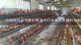 目前四川省养殖红腹锦鸡行业的发展现状如何?
