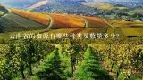 云南省的蜜源有哪些种类及数量多少?