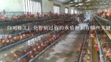 白对虾工厂化养殖过程的水质控制有哪些关键问题需要关注?