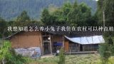 我想知道怎么养小兔子我住在农村可以种点植物吗?