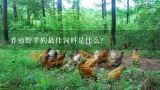 养殖野羊的最佳饲料是什么?