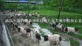 漓江生态农业公司在桂林竹鼠养殖中的核心竞争力是什么?