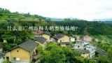 什么是广州市狮头鹅养殖基地?