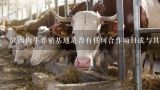 陕西肉牛养殖基地是否有任何合作项目或与其他公司进行过业务往来?