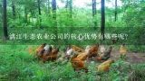 漓江生态农业公司的核心优势有哪些呢?