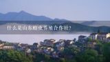 什么是山东蝗虫养殖合作社?