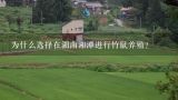 为什么选择在湖南湘潭进行竹鼠养殖?
