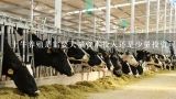 土牛养殖是需要大量资本投入还是少量投资可以达到预期目的?