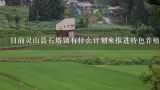 目前灵山县石塔镇有什么计划来推进特色养殖闯富项目的发展吗?