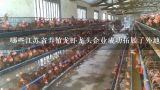 哪些江苏省养殖龙虾龙头企业成功拓展了外地市场?