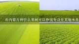 在内蒙古种什么果树可以挣钱有没有其他水果类作物更适合种植?