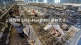 怎样管理泥鳅饲料以控制质量和数量?