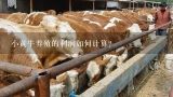 小黄牛养殖的利润如何计算?