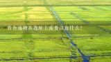 养鱼池塘在选址上需要注意什么?