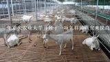 年重庆农业大学开展了一项怎样的研究来提高畜牧业的发展水平呢?