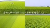 养殖大明虾的最佳生长繁殖环境是什么?