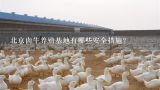 北京肉牛养殖基地有哪些安全措施?
