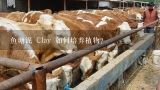 鱼塘泥 Clay 如何培养植物?