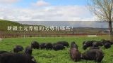 新疆土元养殖的劣势有哪些?