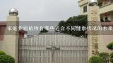 家庭养殖植物有哪些适合不同健康状况的水果种类?