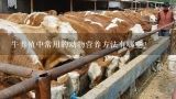 牛养殖中常用的动物营养方法有哪些?