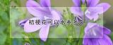 桔梗花可以水养多久