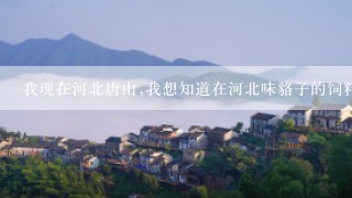 我现在河北唐山,我想知道在河北味貉子的饲料什么牌子的好?谢谢