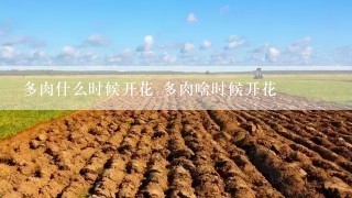 多肉什么时候开花 多肉啥时候开花